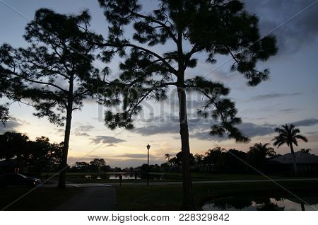 Lamp Post At Sunset In Between Trees