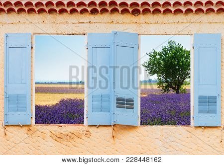 Provence Two Windows With View Of Lavender Field, France