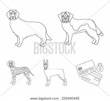 Doberman, Dog, Domestic, And Other  Icon In Outline Style.beagle, Retriever, Dolmatian, Icons In Set