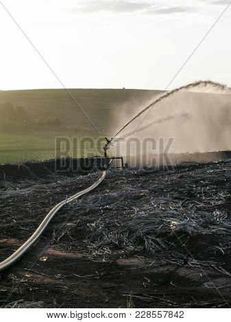 Irrigation And Fertilization In Sugar Cane Field.