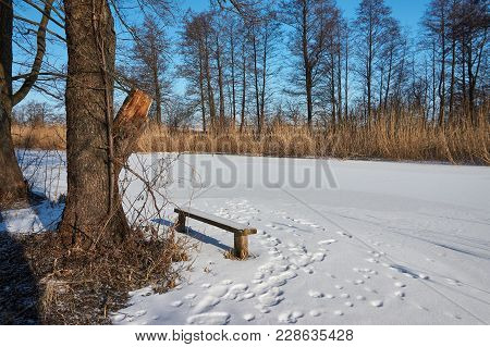 Ice And Snow Covered River, Trees, Rushes, Fallen Fields And Blue Sky With White Clouds. Cold, Snowy
