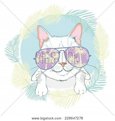 Cute Cat Vector, Cute Cat Christmas Greeting Card, The Cover Design For New Year And Christmas, Chil