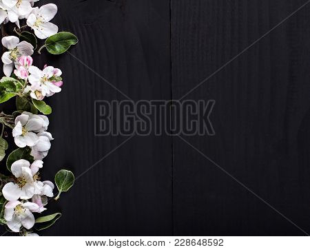 Flowering Of The Apple Tree  On A Dark Wooden Background.  Wreath With Spring Flowers. Pring Flowers