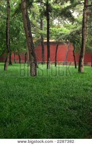 Parque con pared roja