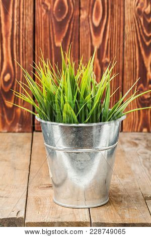 Grass In A Pot On The Wood Table Which Is Good To Be Used As Background