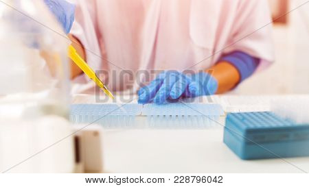 Close-up For Hand Woman Holding Autopipette Liquid Solution In A Laboratory.