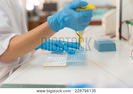 Close-up For Hand Woman Holding Autopipette Liquid Solution In A Laboratory.