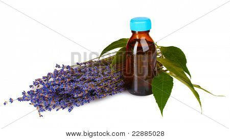 lavender and oil in bottle isolated on white