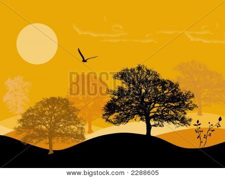 Summer Landscape