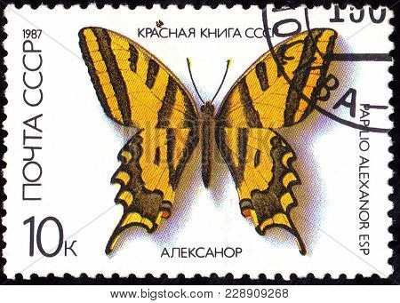 Ussr - Circa 1987: A Stamp Shows A Butterfly With The Inscription 