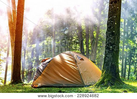 Camping Tent In Green Forest In Spring Sunny Morning With Fog Haze Among Trees. Recreation Concept. 