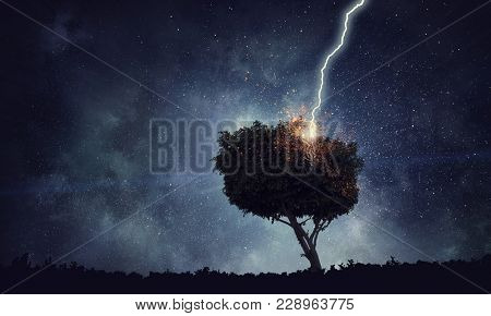 Bright lightning hit the tree