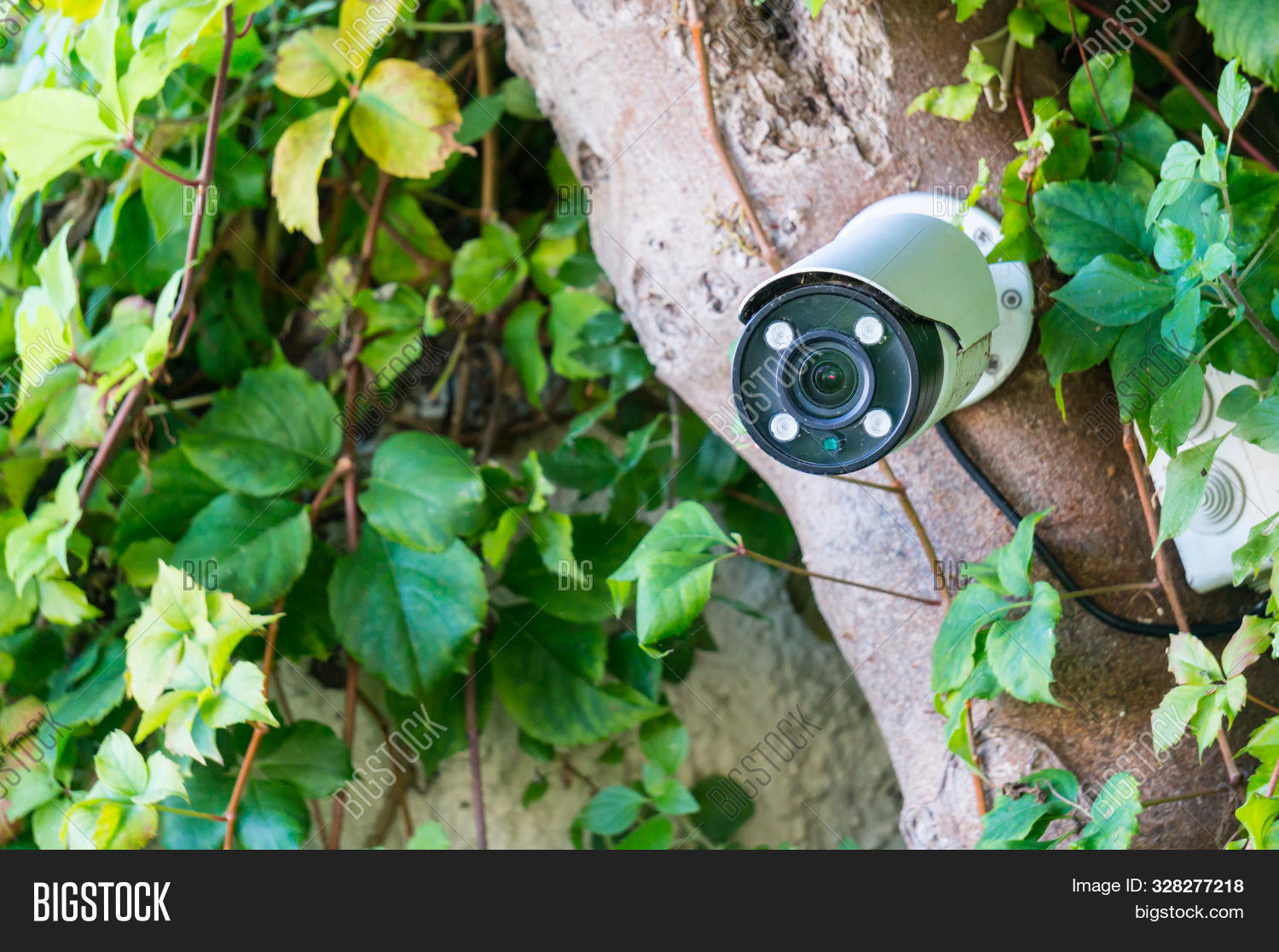 Outside record. Record store. Outside record. Магазин винила в сохо. Vinyl record store.