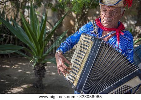 Caruaru, Pernambuco, Brazil - July 11, 2016: Man Wearing Traditional Clothes And Straw Hat Plays Acc