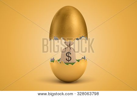 3d Rendering Of Money Sack Hatching Out Of Golden Egg On Yellow Background