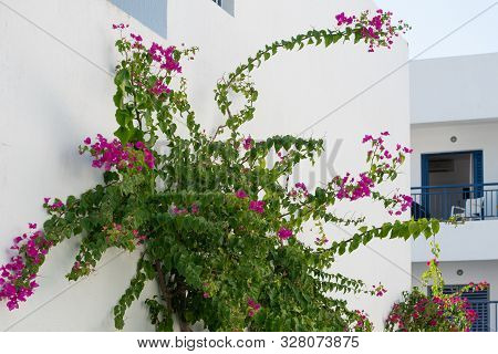 Architecture Details Of Greek Houses On Kos Island Greece