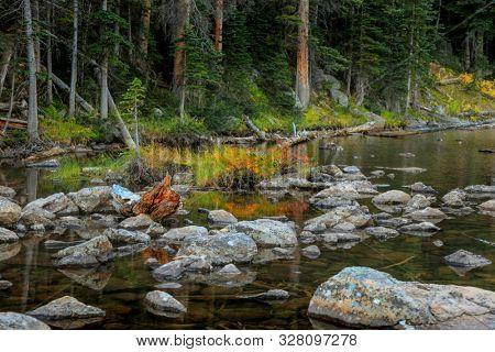 Fall foliage in the middle of Tyndall creek  in Rocky mountain national park