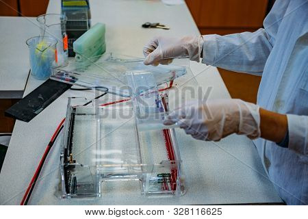 Loading The Agarose Gel With Samples For The Separation Of Dna Fragments For Electrophoresis. Device