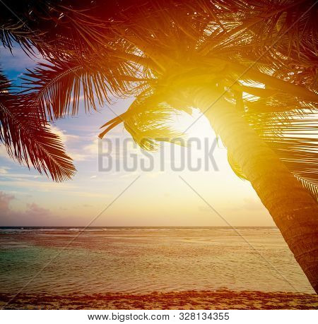 Bois Jolan Beach At Sunset In Guadeloupe, French West Indies. Lesser Antilles, Caribbean Sea