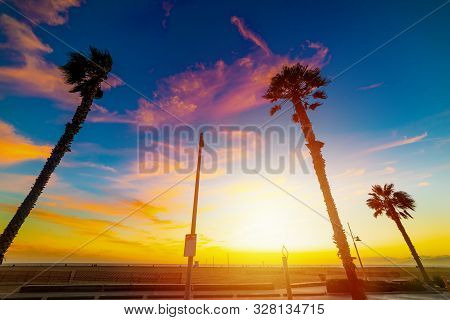 Palm Trees Under A Colorful Sky At Sunset. Los Angeles, California