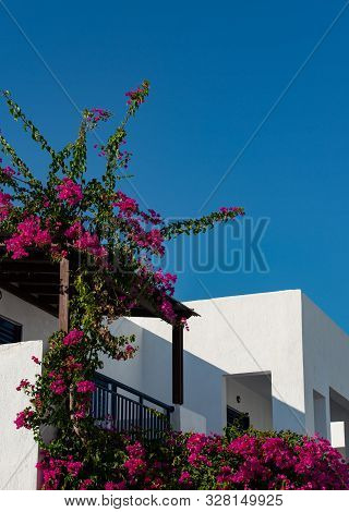Architecture Details Of Greek Houses On Kos Island Greece