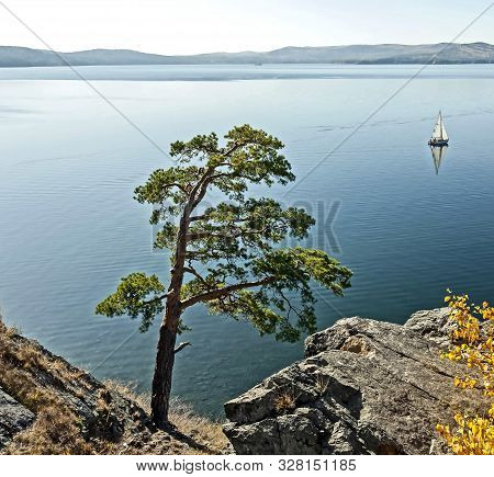 Lonely Pine Tree On The Rocky Shore Of Lake Turgoyak In The Southern Urals, The Lake Is Also Called 