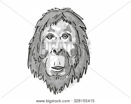 Retro Cartoon Style Drawing Of Head Of An Orangutan  , An Endangered Wildlife Species On Isolated Wh