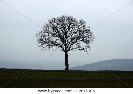 Fa