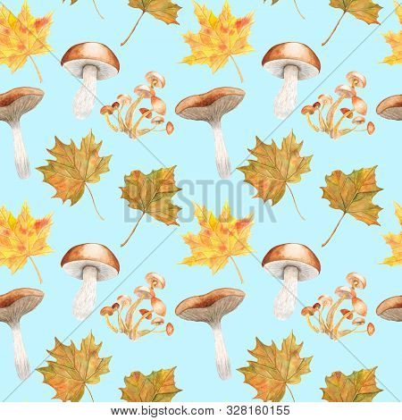Watercolor Seamless Pattern Forest Life Illustration On White Background With Mushrooms And Leaves.