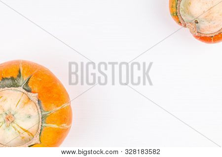 Pair Of Trendy Ugly Organic Farm Double Mutation Pumpkins On White Background. Concept Non-waste Pro