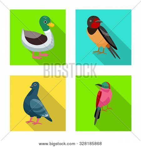 Vector Illustration Of Animal And Wild Symbol. Set Of Animal And Natural Stock Vector Illustration.