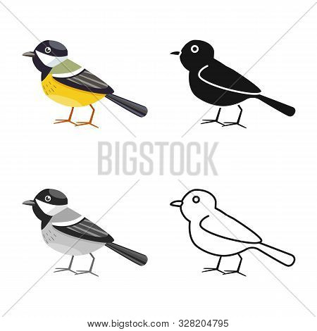 Isolated Object Of Bird And Tit Sign. Collection Of Bird And Titmouse Vector Icon For Stock.