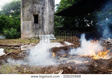 Wood Burning Underground Stove With Smoke For Cooking Traditional Mexican Dish Pibes Made For Day Of