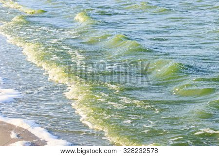 Green Water In The Sea Lagoon. The Lagoon Is A Bay Separated From The Sea. The Color Of Water Is Due