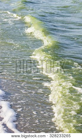 Green Water In The Sea Lagoon. The Lagoon Is A Bay Separated From The Sea. The Color Of Water Is Due