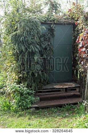 Hidden Hunting Lodge Of Hunter In Mountain With Many Branches Of Trees