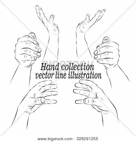 Select The Images Of The Hands. Contour Of Human Palms, Wrists, Gestures On A White Background. Stoc
