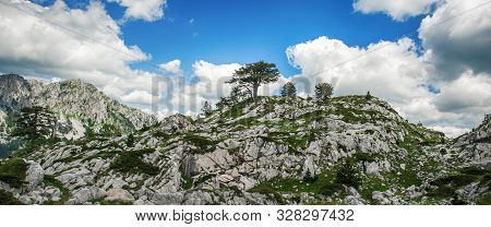Hikers Walking On Trail. Group Of People Hiking In Mountains With Blooming Meadows And Mountain Peak