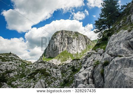 Hikers Walking On Trail. Group Of People Hiking In Mountains With Blooming Meadows And Mountain Peak