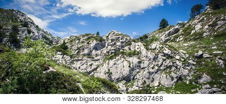 Hikers Walking On Trail. Group Of People Hiking In Mountains With Blooming Meadows And Mountain Peak