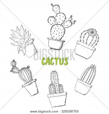 Cactus And Succulents Group. Vector Hand Drawn Outline Black And White Sketch Illustration. Isolated