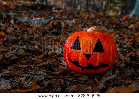 Halloween Pumpkin In The Forest. Scary Pumpkin Decorations With Creepy Toothy Smile At Wood Backgrou