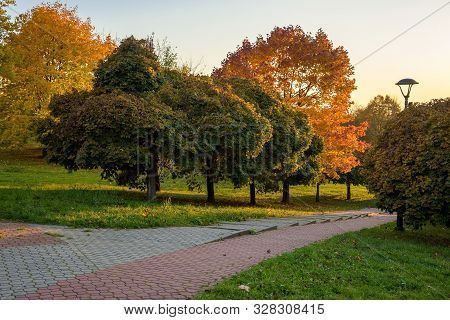 Beautiful Colors Of Autumn In The Park At Sunset