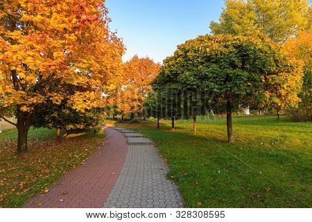 Beautiful Colors Of Autumn In The Park At Sunset