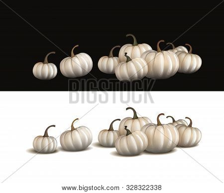White Pumpkin Isolated On White And On Black. Realistic Vector Pumpkins.