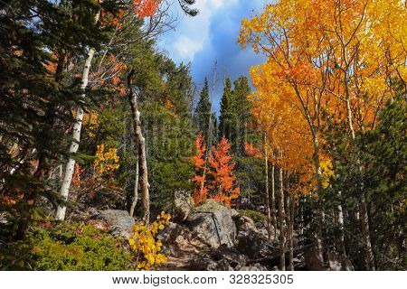 Beautiful autumn landscape in Rocky mountain national park, focued on Aspen trees