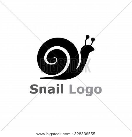 Snail Logo Template Vector Icon Illustration
