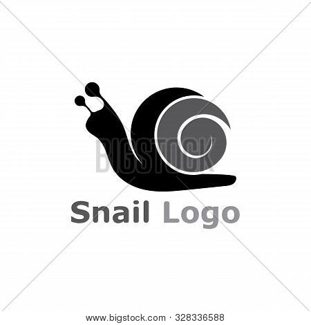 Snail Logo Template Vector Icon Illustration