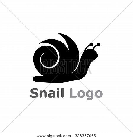 Snail Logo Template Vector Icon Illustration