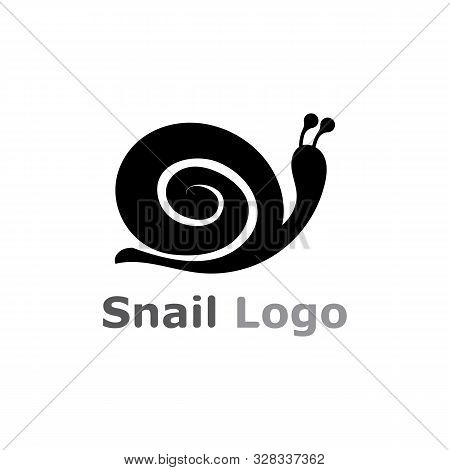 Snail Logo Template Vector Icon Illustration Design